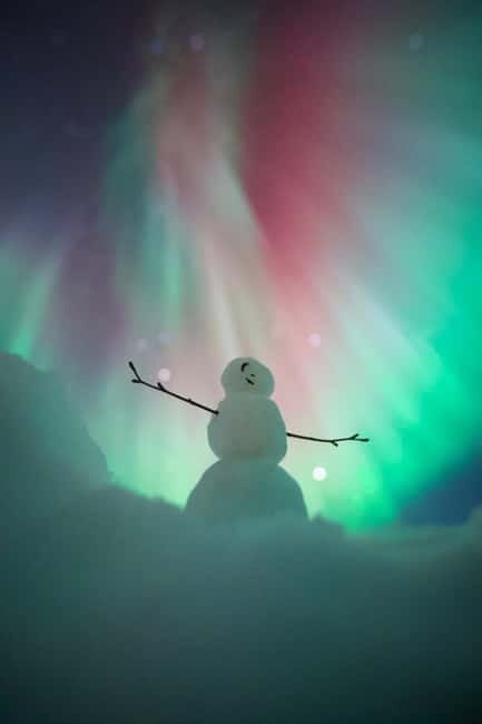 Rovaniemi: Aurora Hunting Group Tour - Guaranteed View - Key Points  