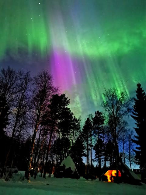 rovaniemi-aurora-hunting-photography-tour-2