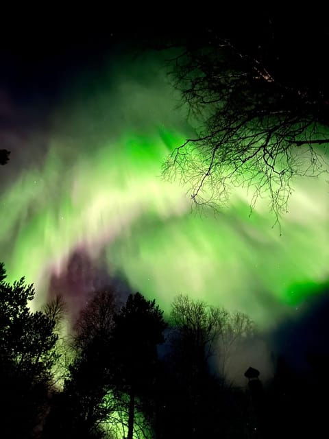 rovaniemi-aurora-hunting-photography-tour-2