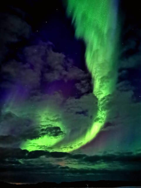 rovaniemi-aurora-hunting-photography-tour-2