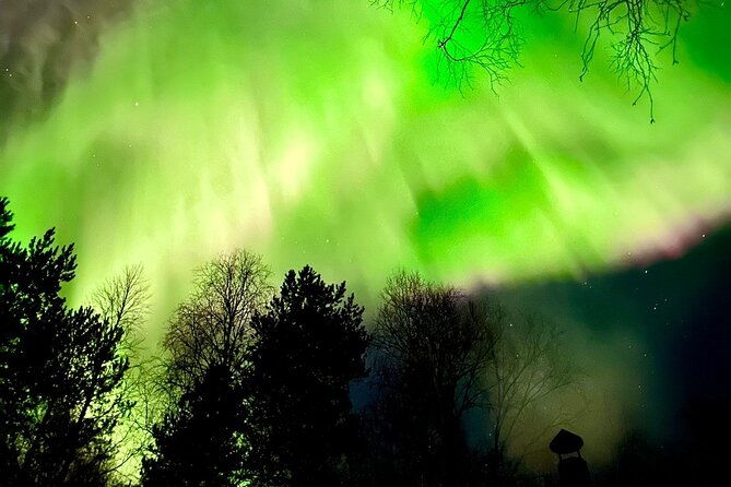 rovaniemi-aurora-hunting-photography-tour