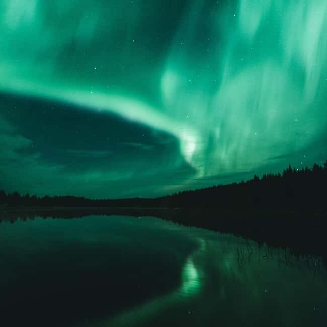 Rovaniemi: Aurora Hunting Photography Tour with Barbeque - The Sum Up