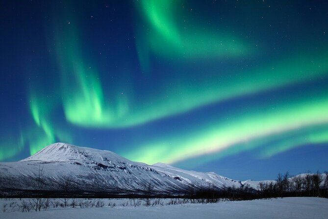 rovaniemi-aurora-hunting-tour
