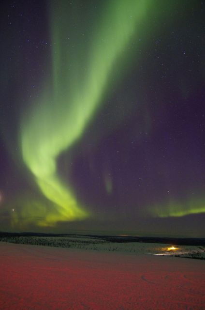 rovaniemi-aurora-hunting-tour-with-photography-by-van