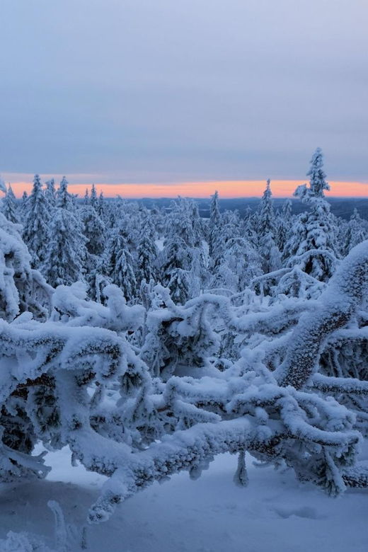rovaniemi-auttikongas-winter-wilderness-hike-bbq