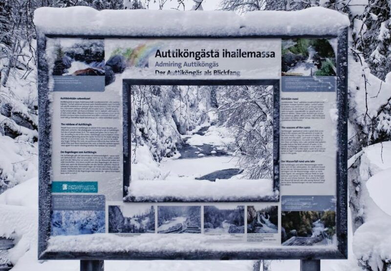 rovaniemi-auttikongas-winter-wilderness-hike-bbq