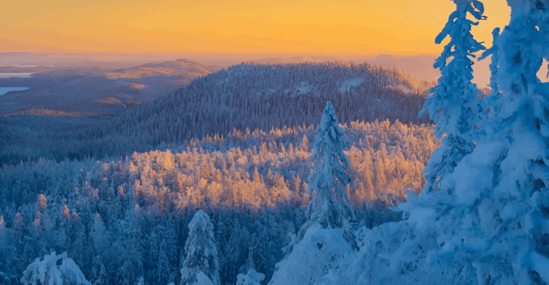 rovaniemi-auttikongas-winter-wilderness-hike-bbq