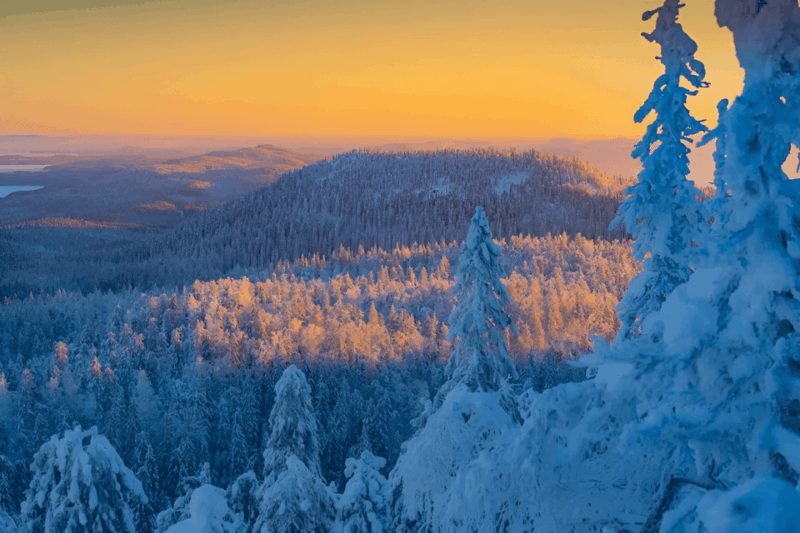 rovaniemi-auttikongas-winter-wilderness-hike-bbq