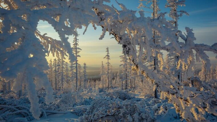 rovaniemi-auttikongas-winter-wilderness-hike-bbq