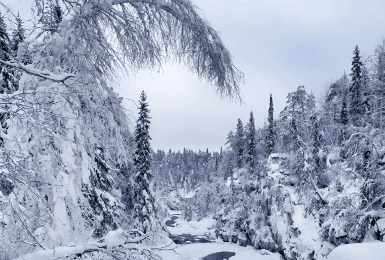 rovaniemi-auttikongas-winter-wilderness-hike-bbq