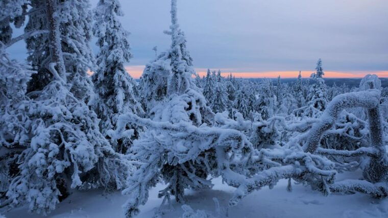 rovaniemi-auttikongas-winter-wilderness-hike-bbq
