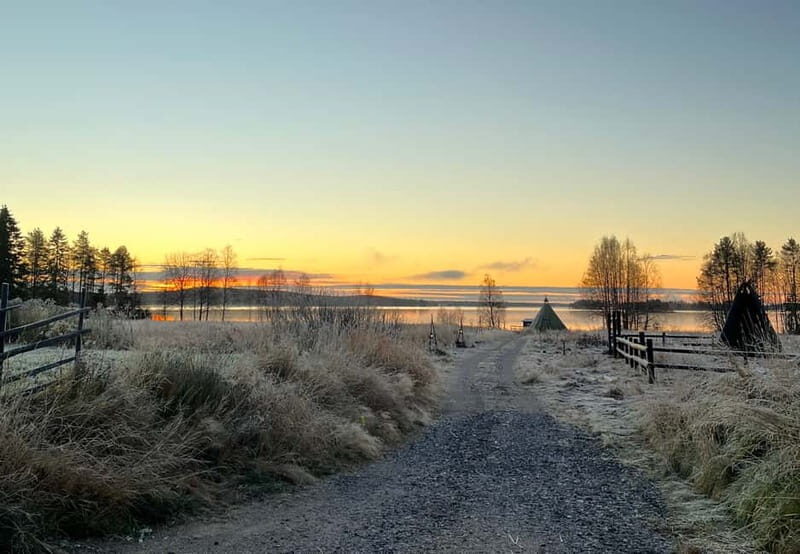 Rovaniemi: Autumn Husky Ride on Wheels - Key Points