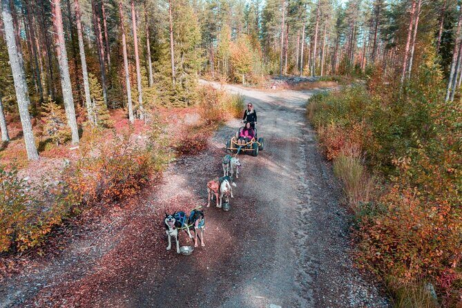 Rovaniemi Autumn Husky Safari & BBQ  610 km SelfDrive - Exploring the Itinerary in Detail