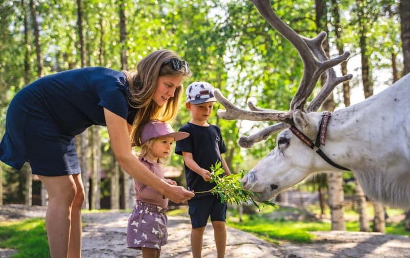 Rovaniemi: Autumn Reindeer Farm Visit - Rovaniemi: Autumn Reindeer Farm Visit — Authentic Lapland Experience