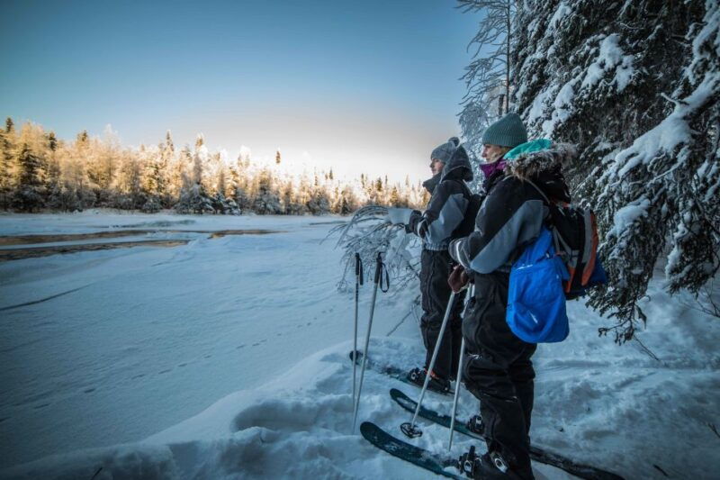 rovaniemi-backcountry-skiing-adventure