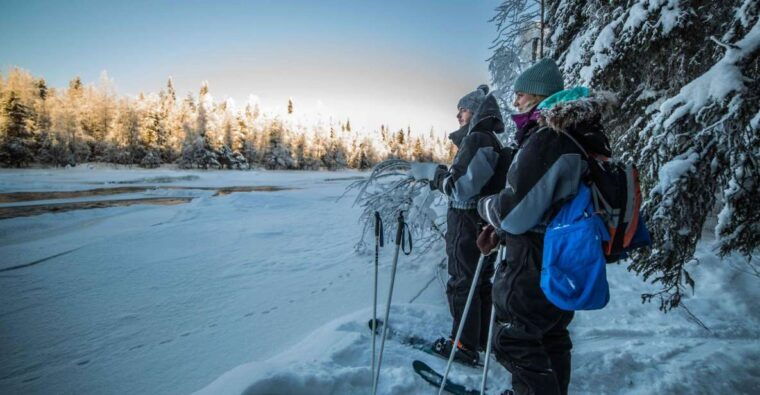 rovaniemi-backcountry-skiing-adventure