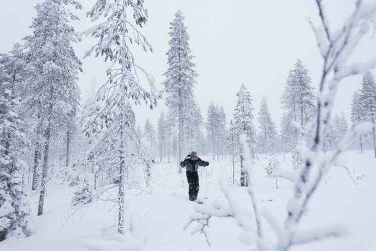 rovaniemi-backcountry-skiing-adventure