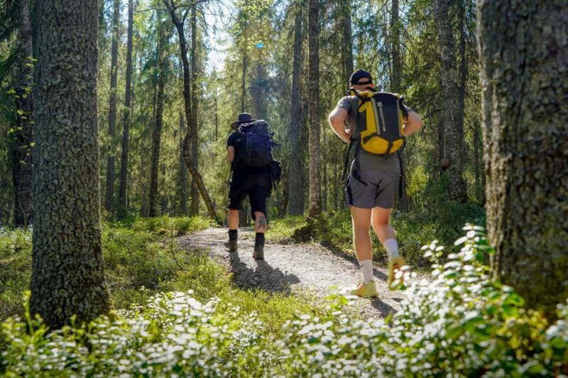 Rovaniemi: Berry and Mushroom Picking with Wilderness Guide - Discover the Wilderness with Nordic Odyssey Rovaniemi