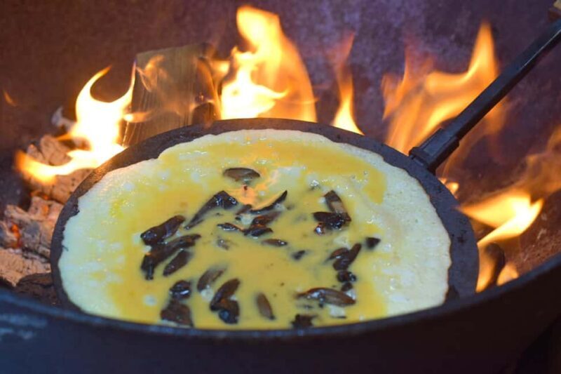 Rovaniemi: Berry and Mushroom Picking with Wilderness Guide - FAQs