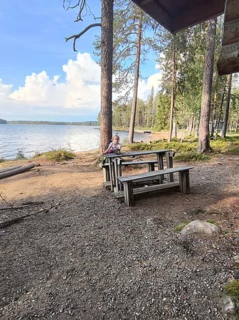 Rovaniemi: Berry Picking Tour with Traditional Laavu - In-Depth Breakdown of the Itinerary