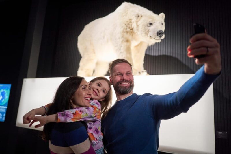 rovaniemi-culture-pass-to-arktikum-korundi-and-pilke