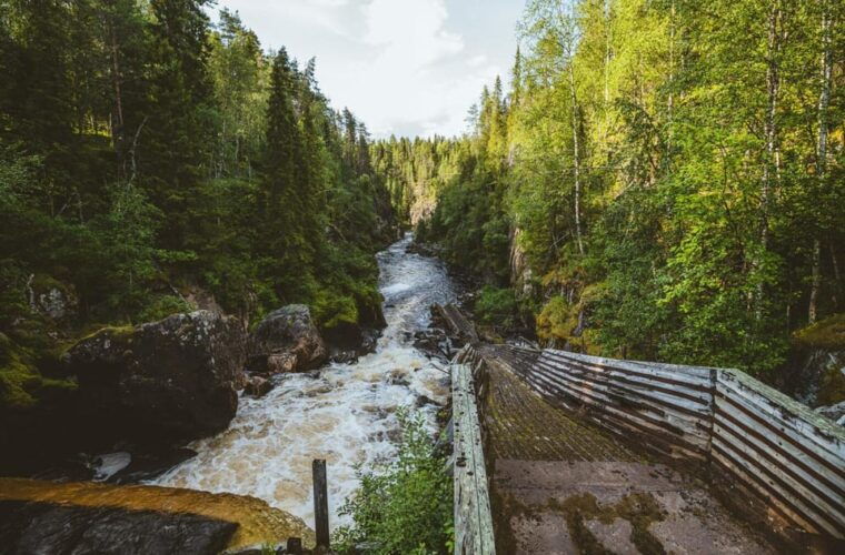 rovaniemi-day-tour-to-laplands-top-attractions