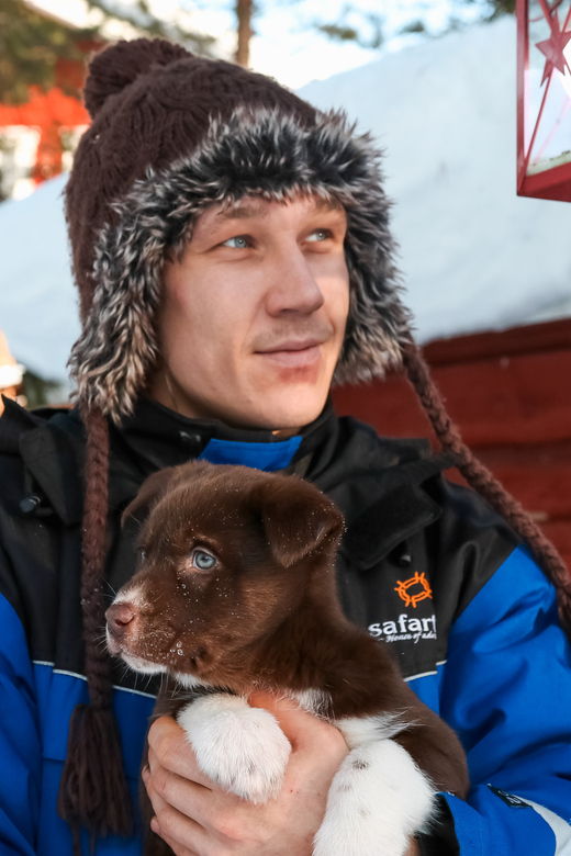 rovaniemi-daytime-husky-safari