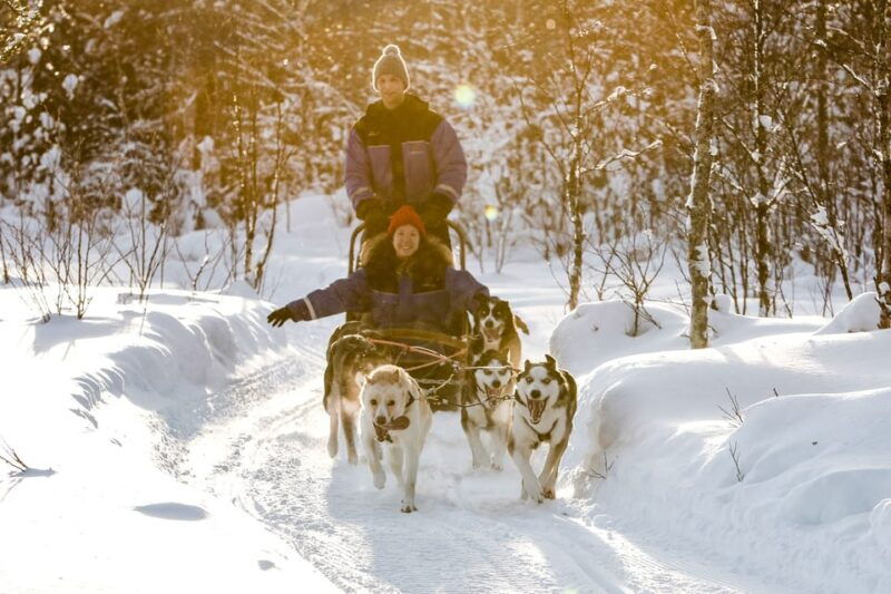 rovaniemi-daytime-husky-safari