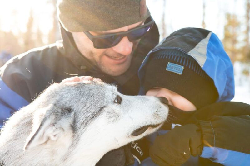 rovaniemi-daytime-husky-safari