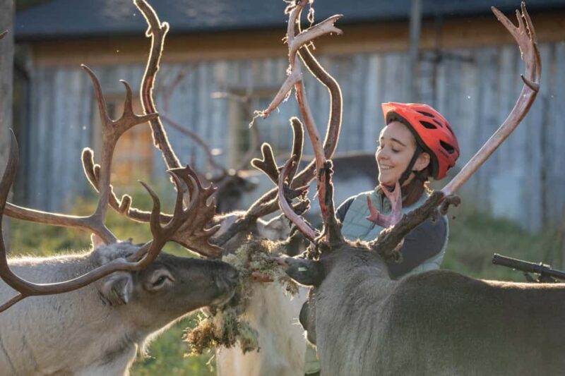 Rovaniemi: E-fatbike Trip to the Reindeer Farm - Key Points