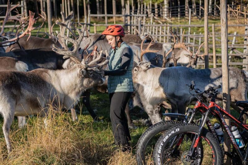 Rovaniemi: E-fatbike Trip to the Reindeer Farm - What Makes This Tour Stand Out?