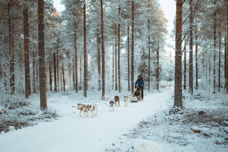 rovaniemi-early-winter-husky-sled-ride
