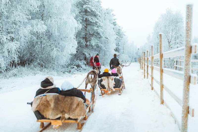 Rovaniemi: Early Winter Reindeer Sleigh Ride 1-2 km - Key Points