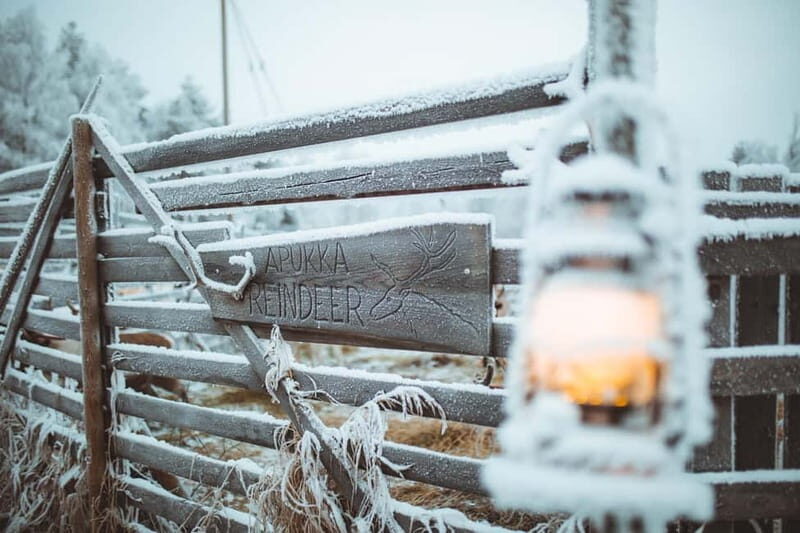 Rovaniemi: Early Winter Reindeer Sleigh Ride 1-2 km - A Genuine Look at the Reindeer Sleigh Ride Experience