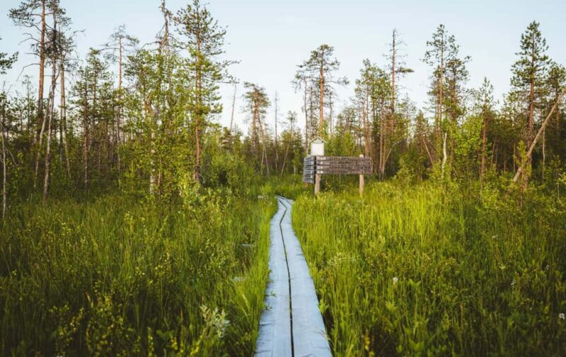 Rovaniemi: Electric Fatbike Rental with Helmet - Why Choose the Electric Fatbike Experience in Rovaniemi?