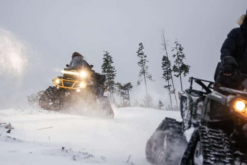 Rovaniemi Expedition "INTO THE WILD" and Glass Igloo Lunch - Key Points