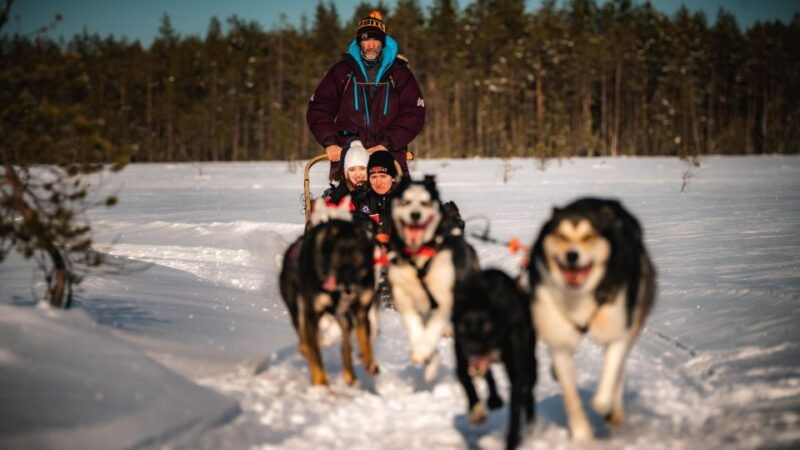 rovaniemi-feel-the-speed-of-huskies