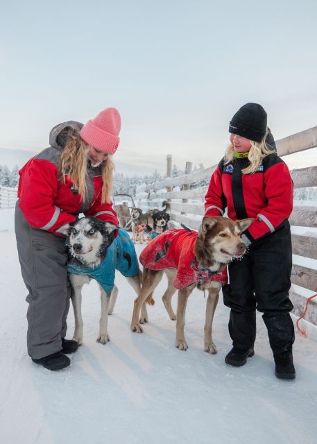 rovaniemi-feel-the-speed-of-huskies