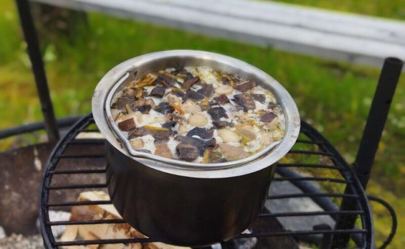 rovaniemi-forest-foraging-adventure-pick-prepare-savor