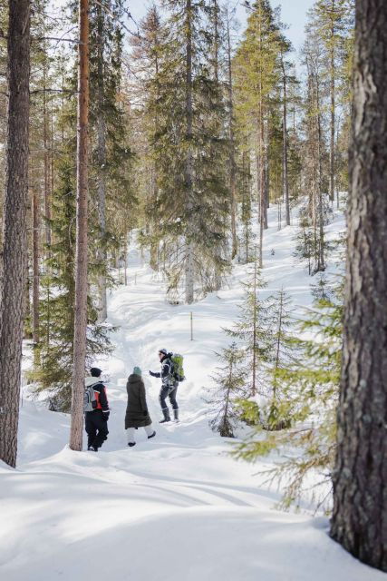 rovaniemi-frozen-waterfalls-of-korouoma-canyon-hike