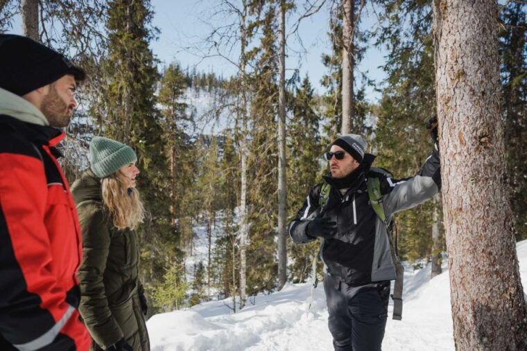 rovaniemi-frozen-waterfalls-of-korouoma-canyon-hike