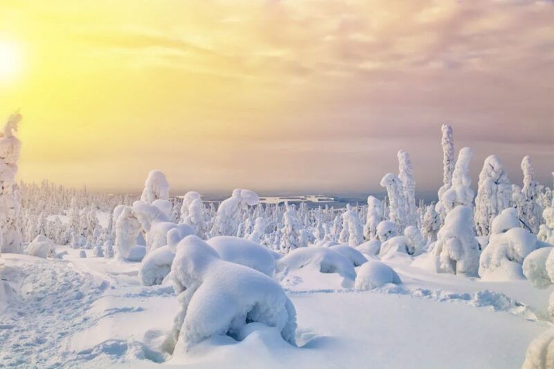 rovaniemi-full-day-highlights-tour-with-buffet-lunch