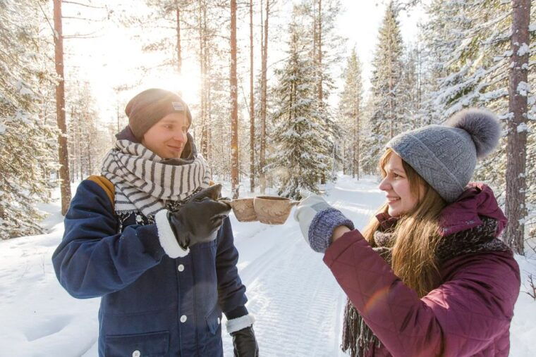 rovaniemi-full-day-highlights-tour-with-buffet-lunch