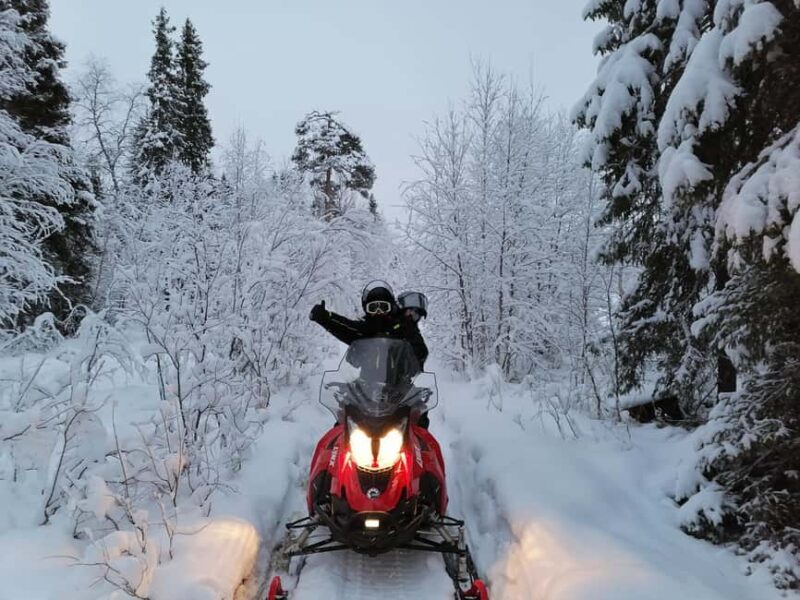 Rovaniemi: Full-Day Snowmobile Adventure - What to Expect from the Full-Day Snowmobile Adventure