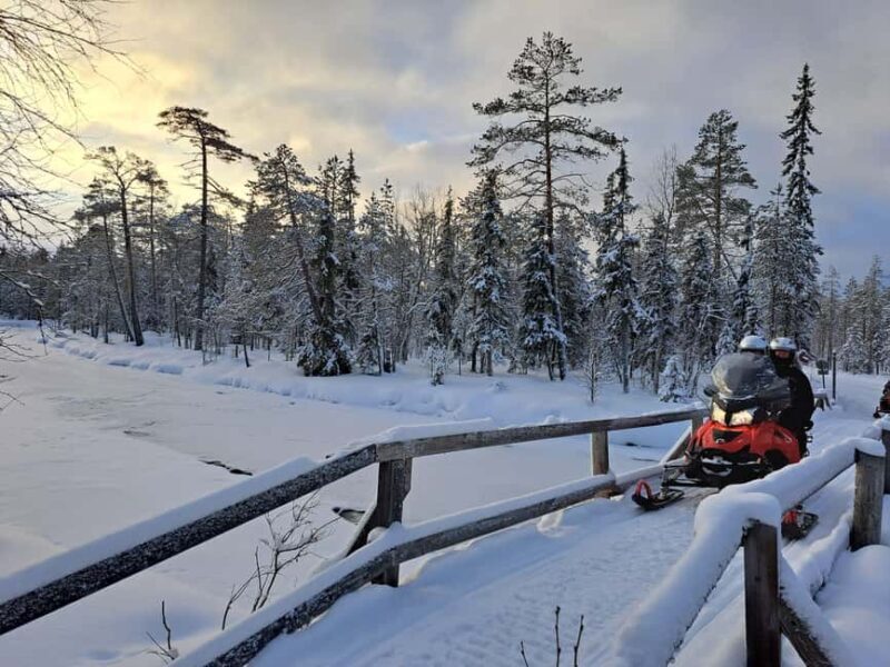 Rovaniemi: Full-Day Snowmobile Adventure - Who Should Consider This Experience?