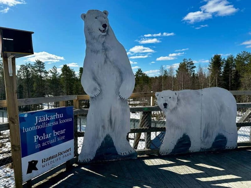 Rovaniemi: Full-Day Tour to Lapland's Best Attractions 5in1 - Practical Details & Tips