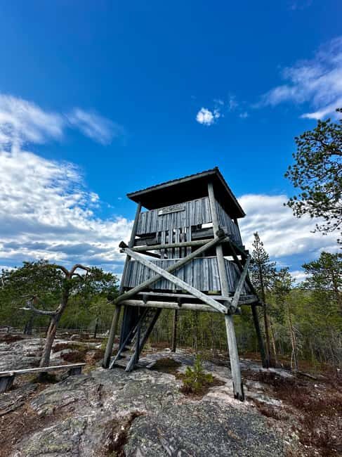 Rovaniemi: Full-Day Tour to Lapland's Best Attractions 5in1 - Final Thoughts: Who Will Love This Tour?
