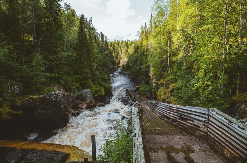 Rovaniemi: Full-Day Tour to Lapland's Best Attractions - Transportation, Timing, and Comfort
