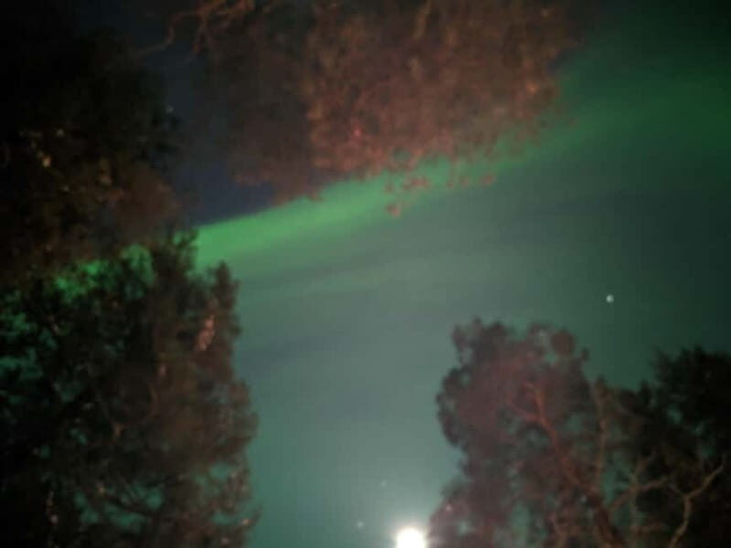 Rovaniemi: Guaranteed Northern Lights Magic Adventure - What Travelers Should Know