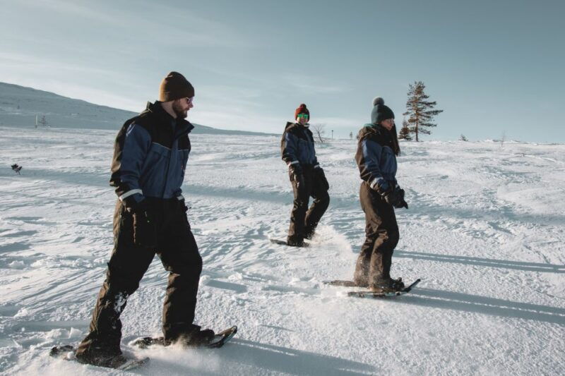 rovaniemi-guided-lappish-wilderness-snowshoeing-adventure